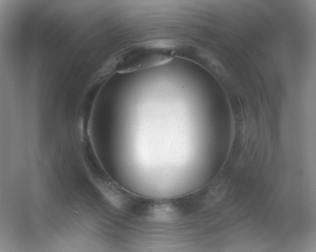 X0000055520262200508121051