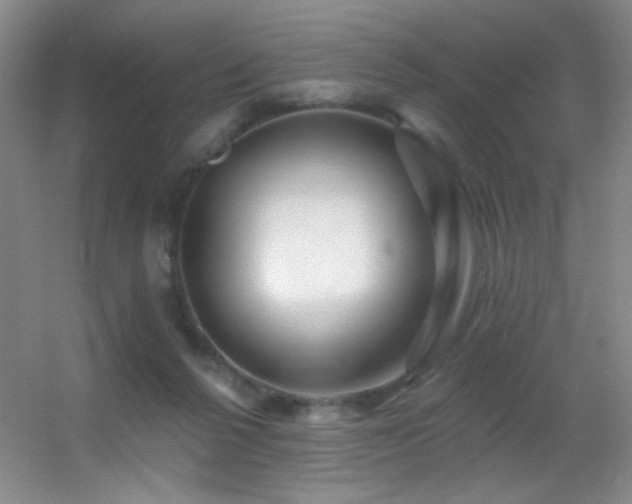 X0000055520264200508121051