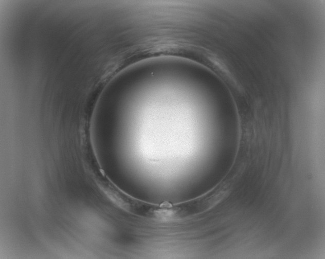 X0000055520265200508121051