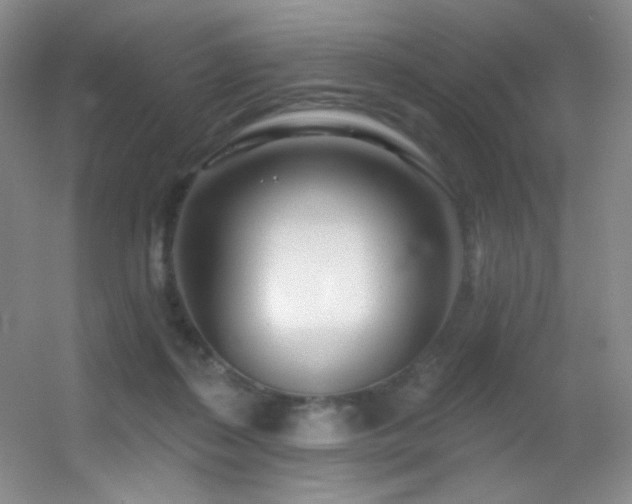 X0000055520267200508121051