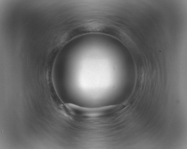 X0000055520268200508121051