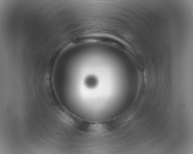 X0000055520269200508121051