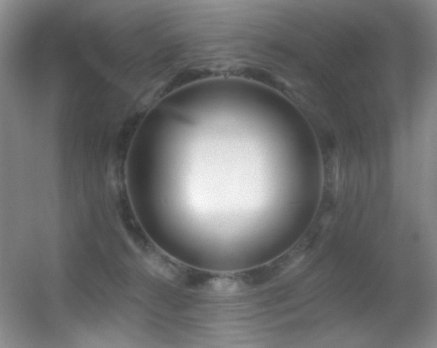X0000055520272200508121051