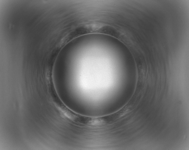 X0000055520274200508121051
