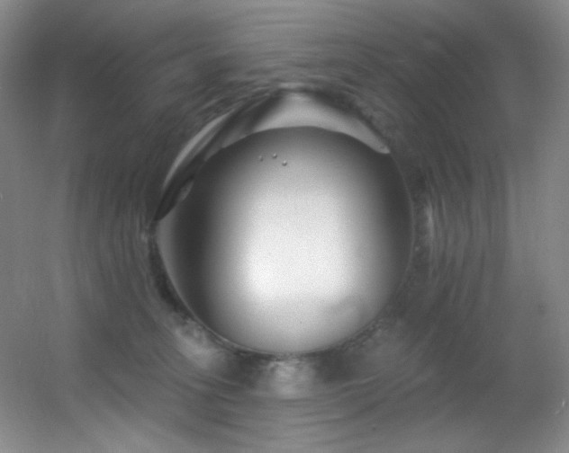 X0000055520275200508121051