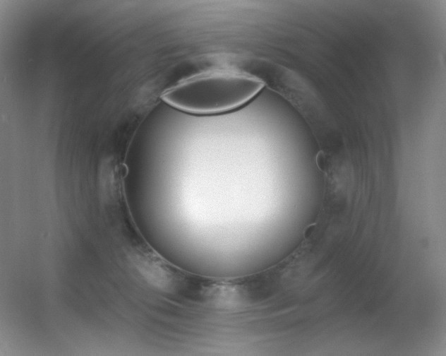X0000055520276200508121051