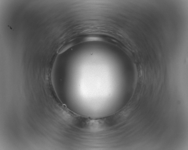 X0000055520277200508121051