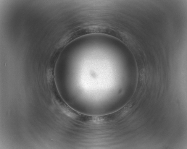 X0000055520278200508121051