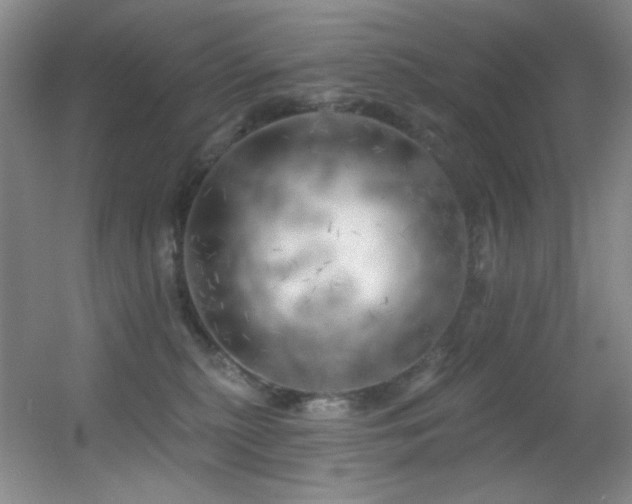 X0000055520279200508121051