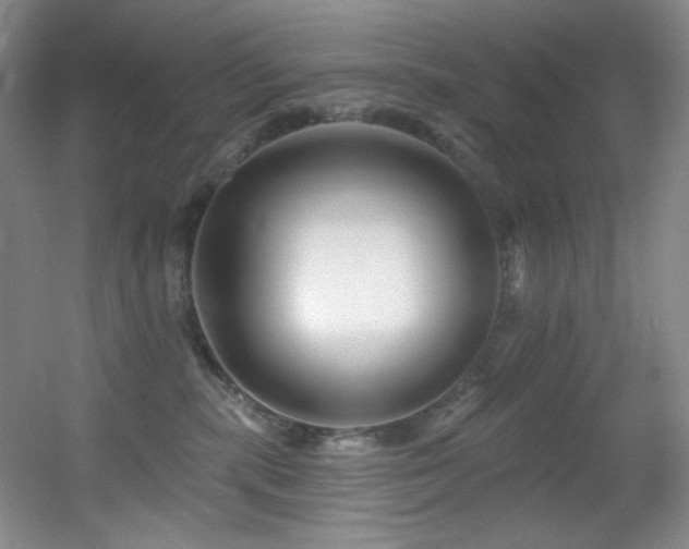 X0000055520283200508121051