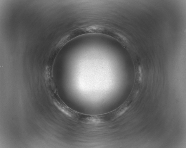 X0000055520284200508121051