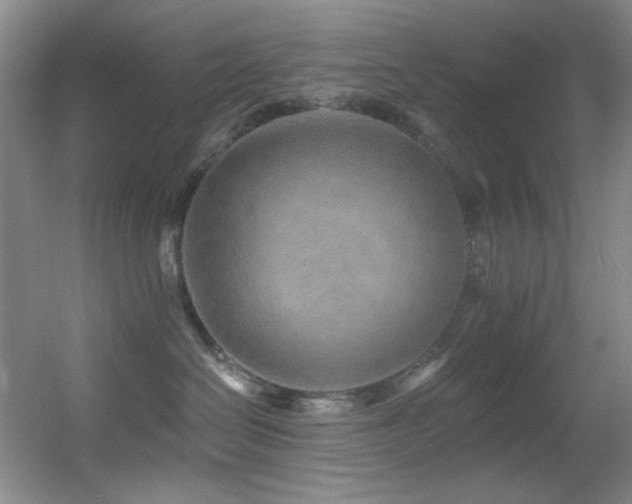 X0000055520286200508121051