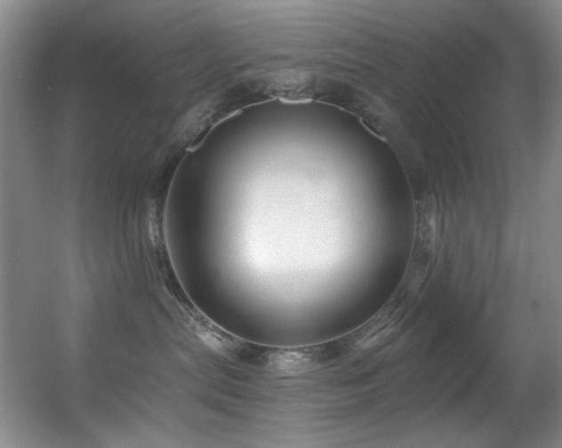 X0000055520287200508121051