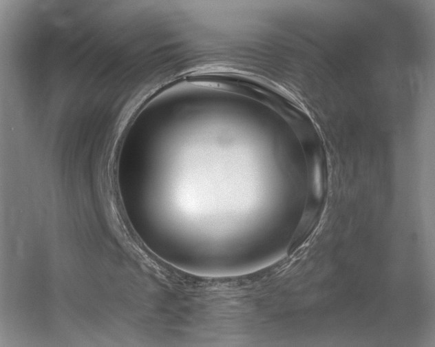 X0000055520289200508121050