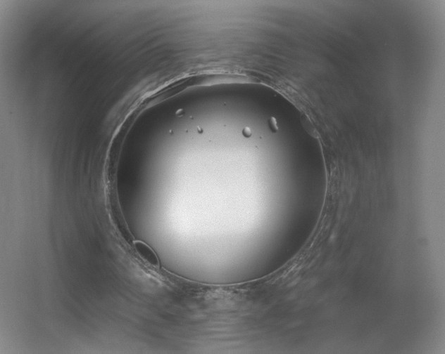X0000055520290200508121050