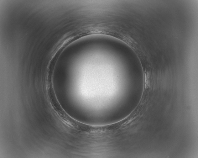 X0000055520291200508121050