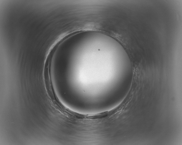 X0000055520292200508121050