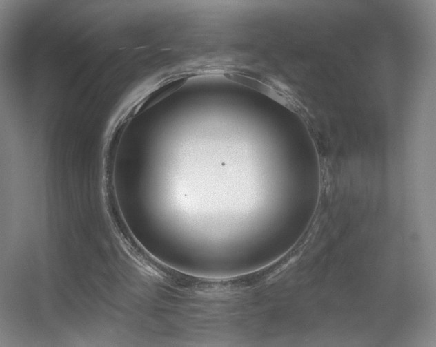 X0000055520293200508121050