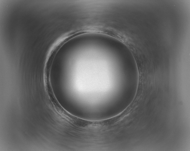 X0000055520294200508121050