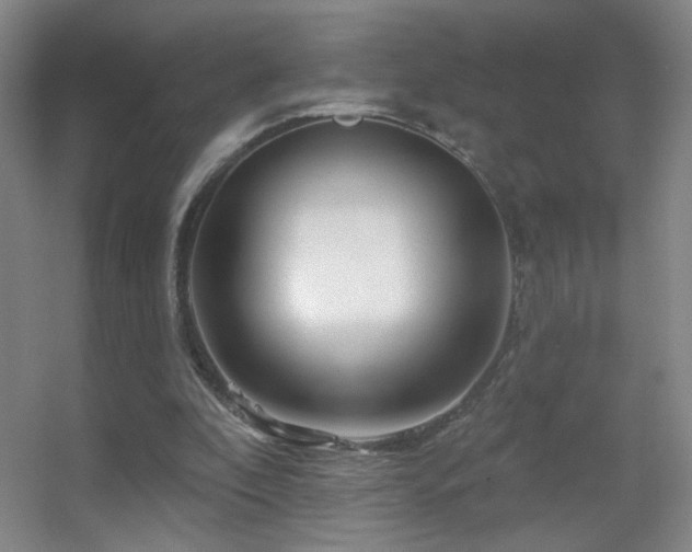 X0000055520296200508121050