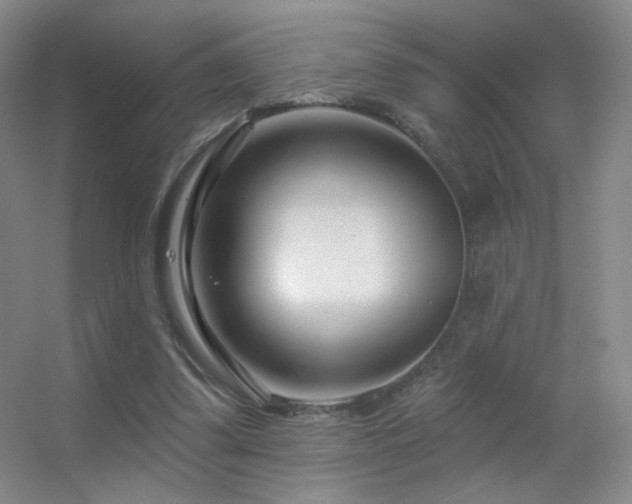 X0000055520299200508121050