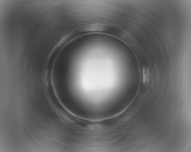 X0000055520300200508121050