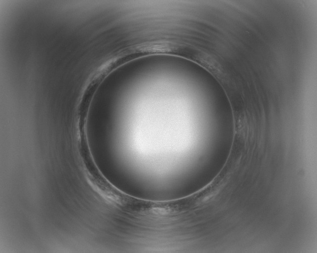 X0000055520302200508121050