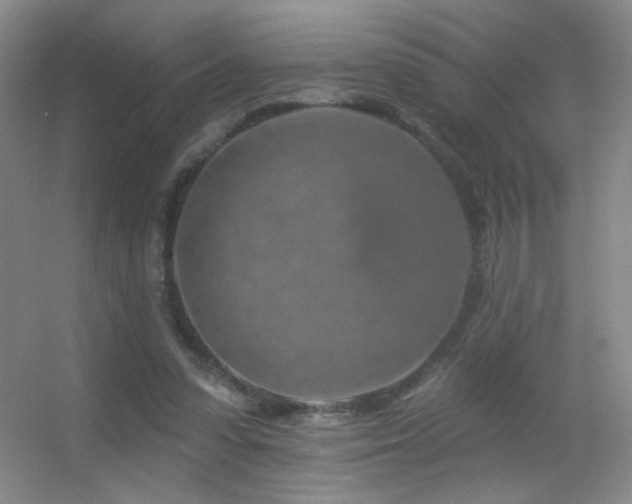X0000055520303200508121050