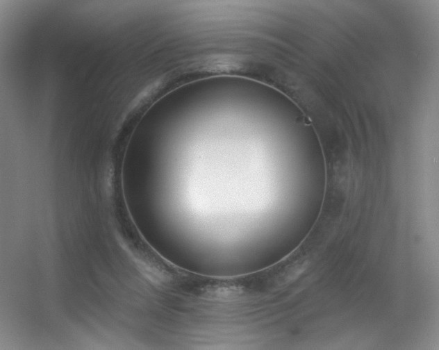 X0000055520304200508121050