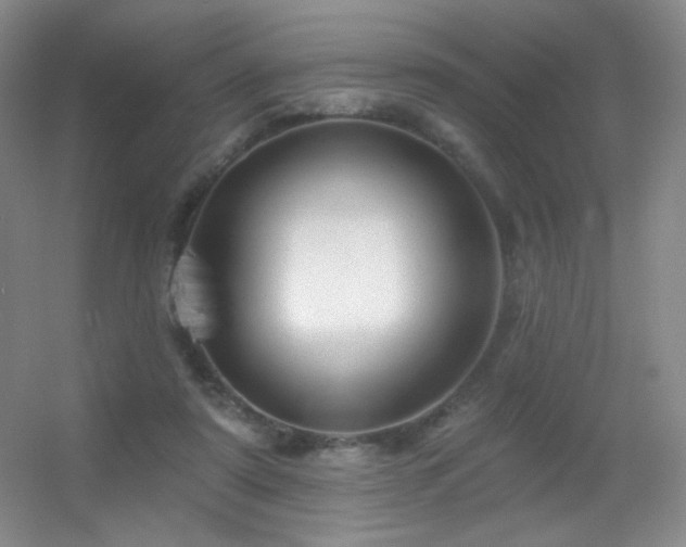 X0000055520307200508121050