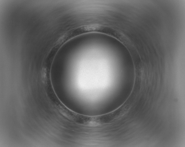 X0000055520308200508121050