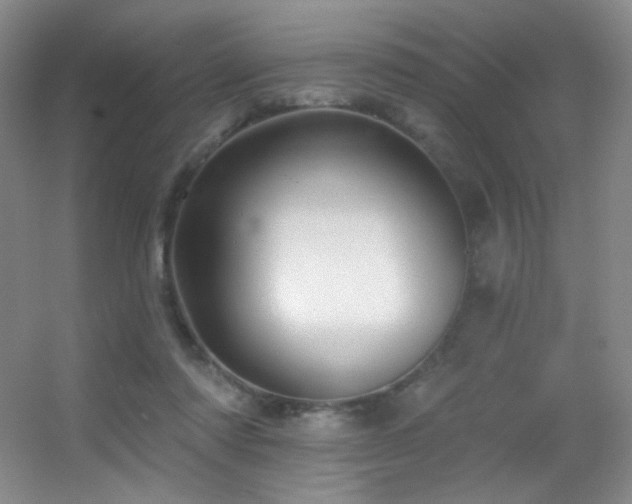 X0000055520310200508121050