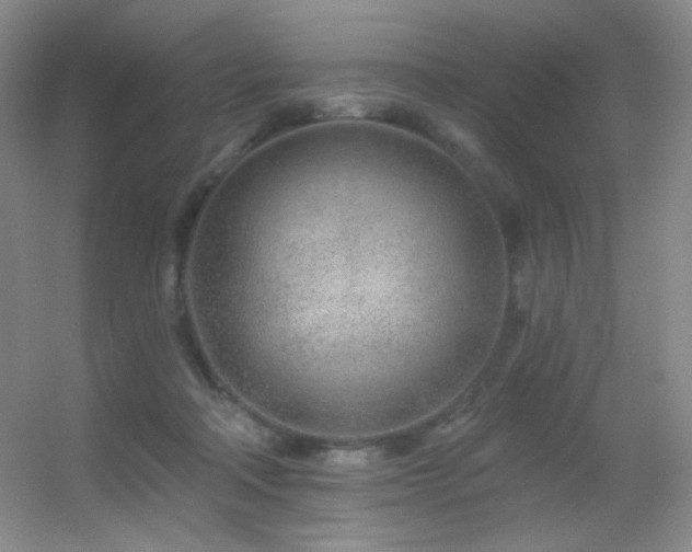 X0000055520314200508121050