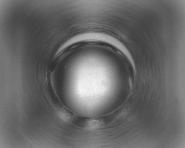 X0000055520315200508121050