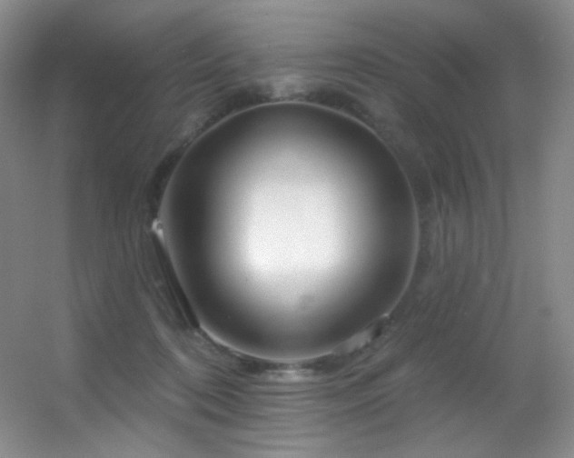 X0000055520316200508121050