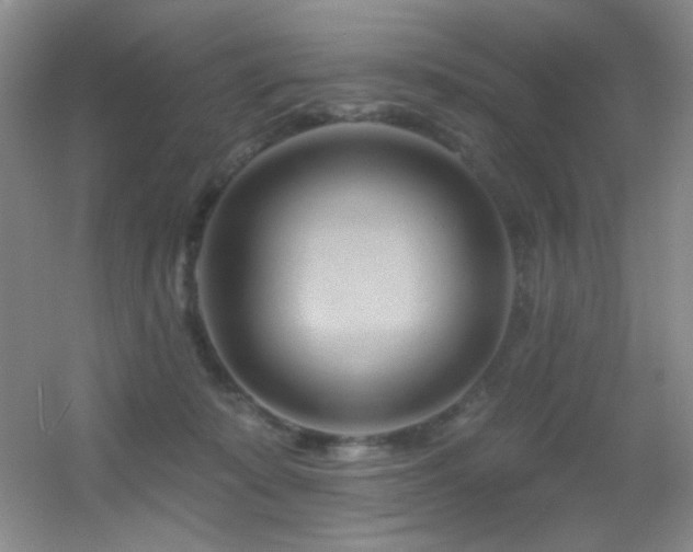 X0000055520319200508121050