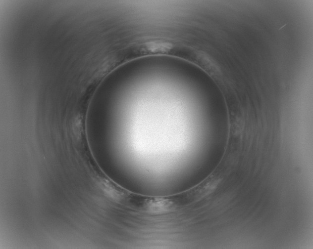 X0000055520321200508121050