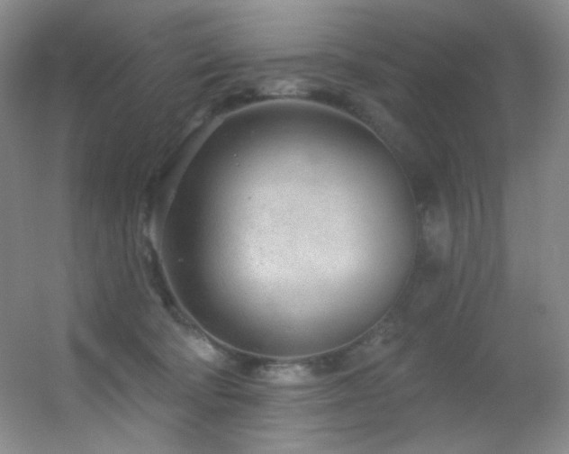 X0000055520322200508121050