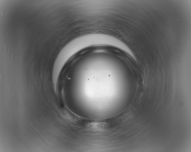 X0000055520323200508121050