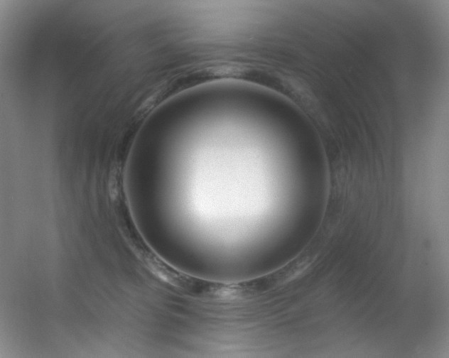 X0000055520325200508121050