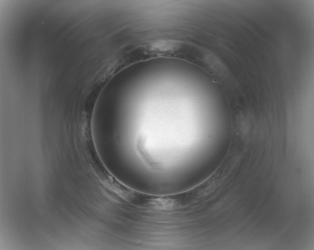 X0000055520328200508121050
