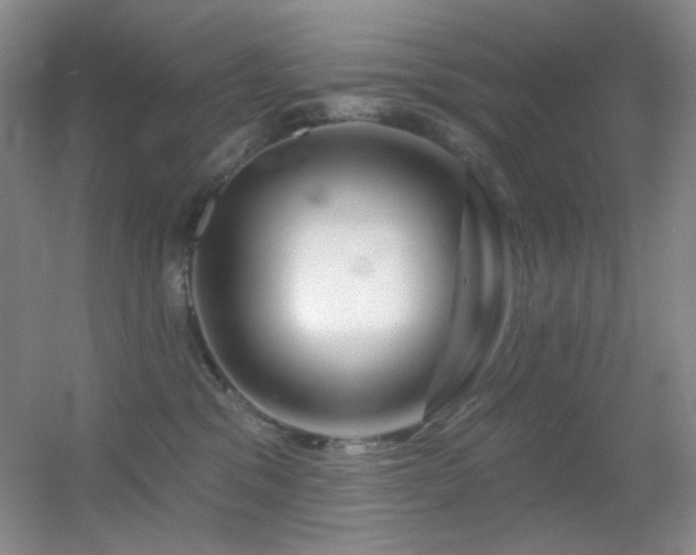X0000055520329200508121050