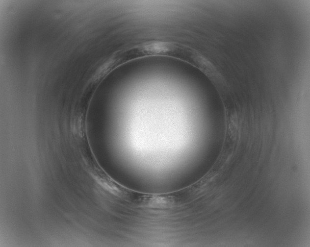 X0000055520330200508121050