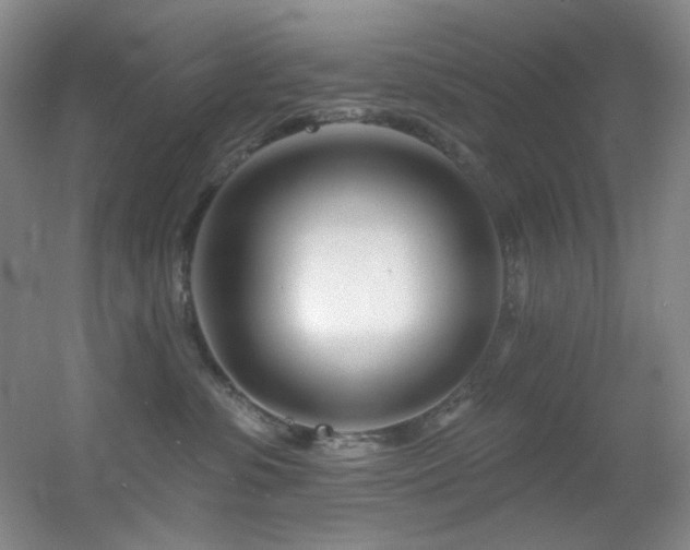 X0000055520331200508121050