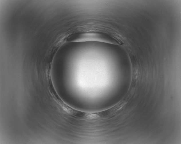 X0000055520333200508121050
