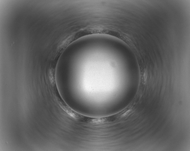 X0000055520335200508121050