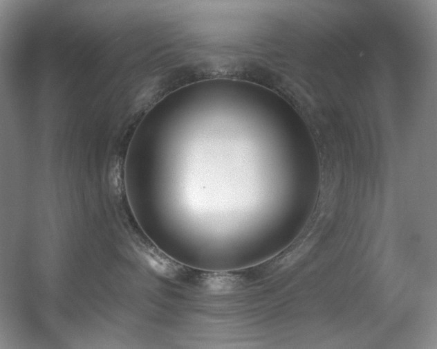 X0000055520336200508121050