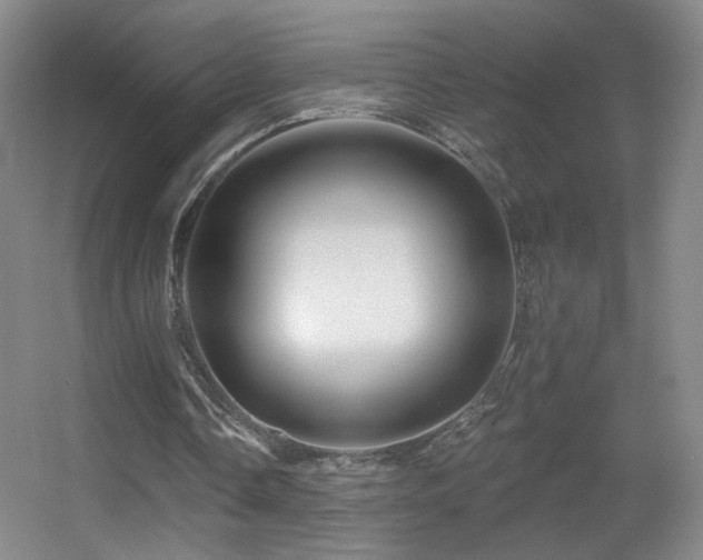 X0000055520338200508121049