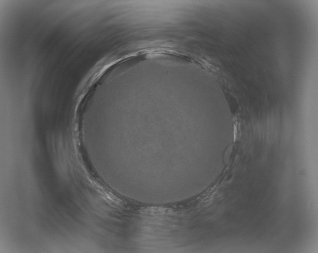 X0000055520339200508121049