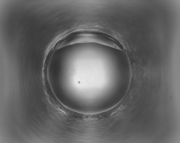 X0000055520340200508121049